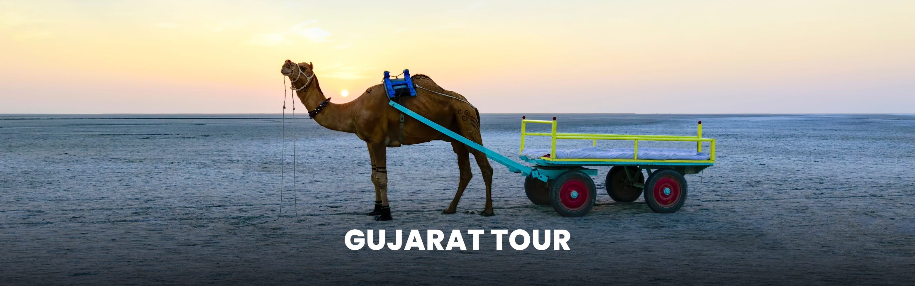 Gujarat Tour